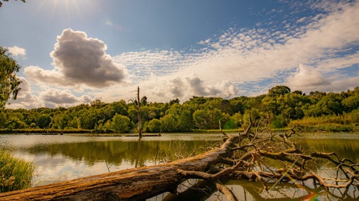 View across the lake
